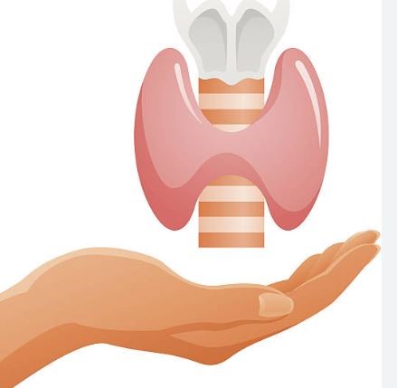 abhaya endocrinology thyroid image